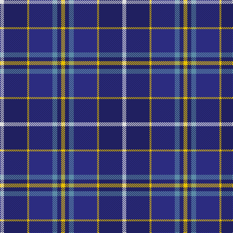LN/8 DBa48 Y4 DB48 B10 DBa8 Y/8 tartan Tartan detail
