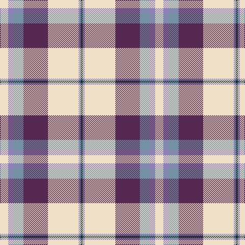 DG/4 Ba4 W60 N48 B20 Ba10 W/16 tartan Tartan detail