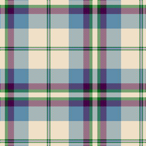 W/16 G10 DP20 B48 W60 G4 LP/4 tartan Tartan detail