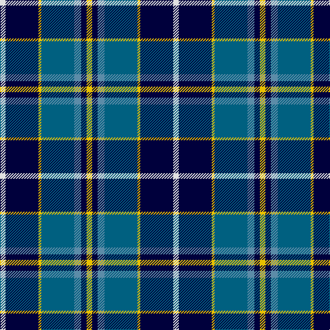 LN/8 DB48 Y4 Ba48 B10 DB8 Y/8 tartan Tartan detail