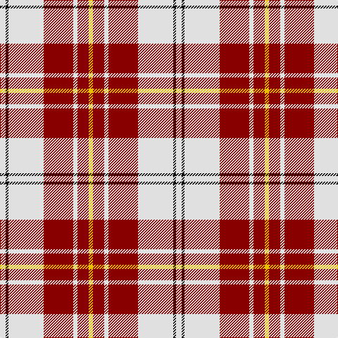 LN/8 K4 LN50 DR42 LN6 DR16 Y/6 tartan Tartan detail