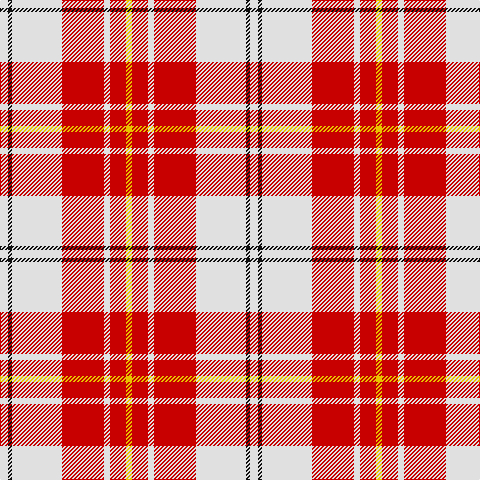 LN/8 K4 LN50 R42 LN6 R16 Y/6 tartan Tartan detail