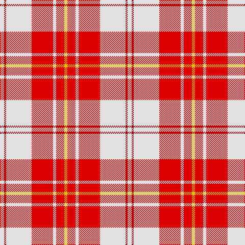 LN/8 DR4 LN50 R42 LN6 R16 Y/6 tartan Tartan detail