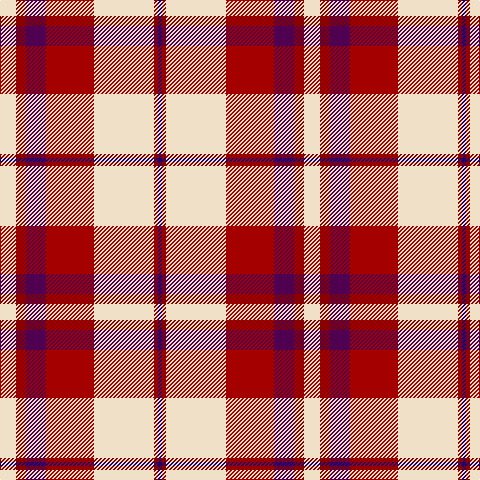 W/16 DRa10 DP20 DR48 W60 DRa4 DB/4 tartan Tartan detail