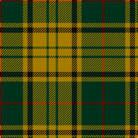 DR/4 DG36 DY8 K9 DY24 DG4 DY/12 tartan Tartan detail
