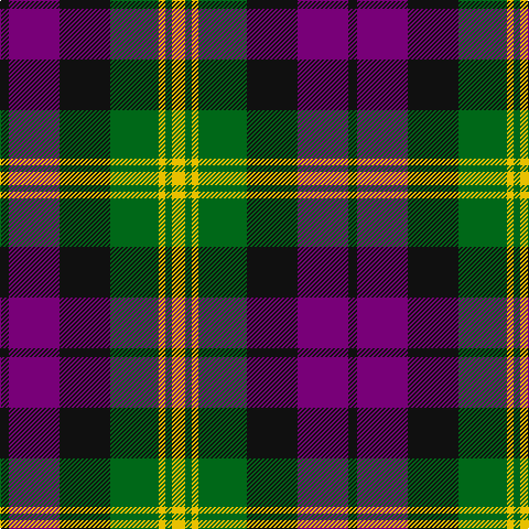 K/8 P46 K46 G44 Y6 G6 Y/12 tartan Tartan detail