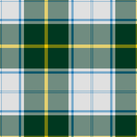 LN/4 B2 LN60 B8 LN10 DG72 Y/12 tartan Tartan detail