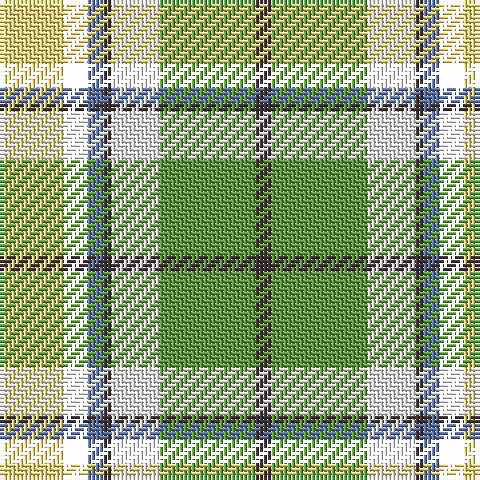 LY/16 M6 B4 T2 W12 LG24 T/4 tartan Tartan detail
