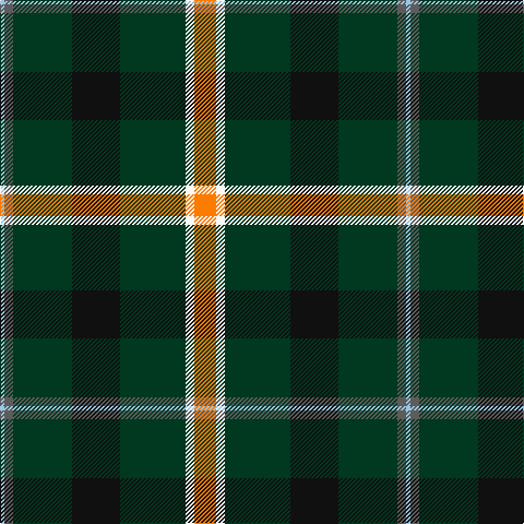 LB/4 N8 DG54 K44 DG60 W8 O/20 tartan Tartan detail