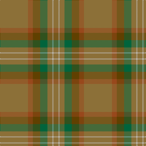 LT/16 N4 LT16 G24 T24 Ta16 LT/92 tartan Tartan detail