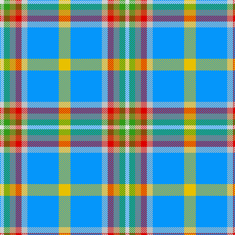 LN/8 G12 DO12 R12 N12 B64 Y/24 tartan Tartan detail