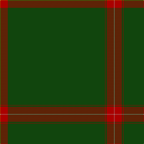 LG/2 DR24 DG324 DR2 DG4 DR24 N/2 tartan Tartan detail
