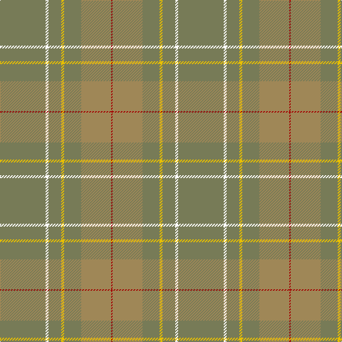 G/64 W4 G18 Y4 G24 LT42 DR/2 tartan Tartan detail