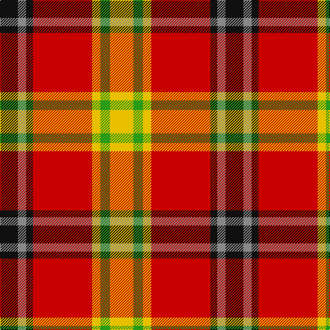 K/26 N12 K10 R86 Y12 G14 Y/34 tartan Tartan detail
