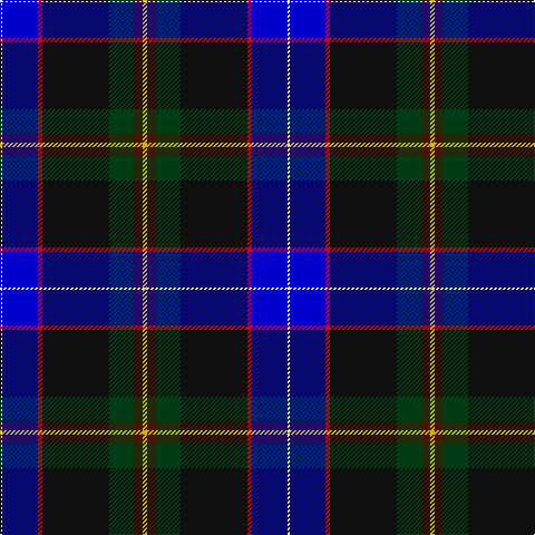 W/2 B32 R4 K60 DG22 DR8 Y/4 tartan Tartan detail