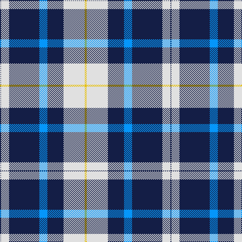 DB/2 LN16 DB60 B16 DB32 LN42 Y/4 tartan Tartan detail
