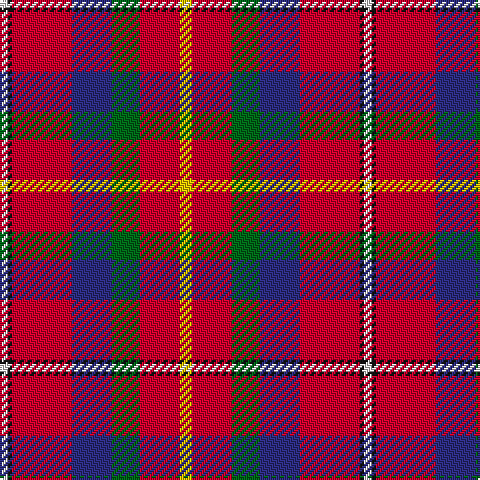 LN/4 K2 R30 DB20 G14 R20 Y/6 tartan Tartan detail