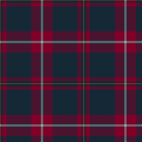 DY/2 DN8 DR12 DN84 DR30 DN2 N/8 tartan Tartan detail