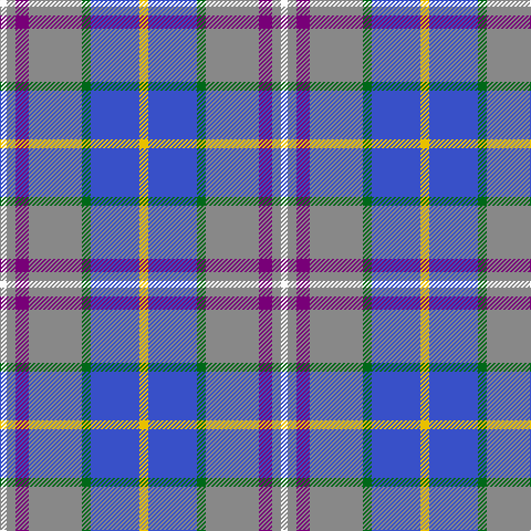W/6 N8 P12 N48 G8 B44 Y/8 tartan Tartan detail