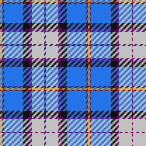 DY/8 DR4 B64 K20 P8 N42 P/4 tartan Tartan detail