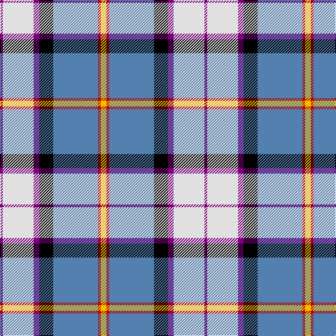 P/4 LN44 P8 K20 B64 R4 Y/8 tartan Tartan detail