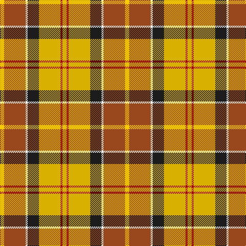 Y/8 T42 W4 K22 Ya42 DR4 Ya/8 tartan Tartan detail