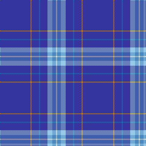 Bb/100 O4 Bb24 B4 Bb24 LB16 Ba12 LN/4 tartan Tartan detail