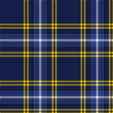 DB/100 Y8 DB6 Y8 DB16 K4 B24 LN/10 tartan Tartan detail