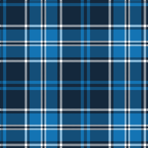 DN/10 B10 DN60 W8 DN8 B36 W6 DN/6 tartan Tartan detail