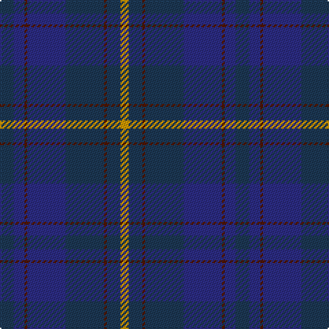 DBa/10 DB8 DR2 DB28 DBa28 DR2 DBa10 DY/6 tartan Tartan detail