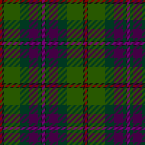 DR/8 K4 G55 DG30 DP30 DG10 K2 P/10 tartan Tartan detail
