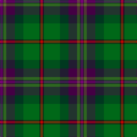 P/10 K2 Ga10 DP30 DG30 Gb56 K4 R/8 tartan Tartan detail