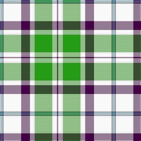 B/10 K2 W60 DP30 W16 G60 W16 DP/4 tartan Tartan detail