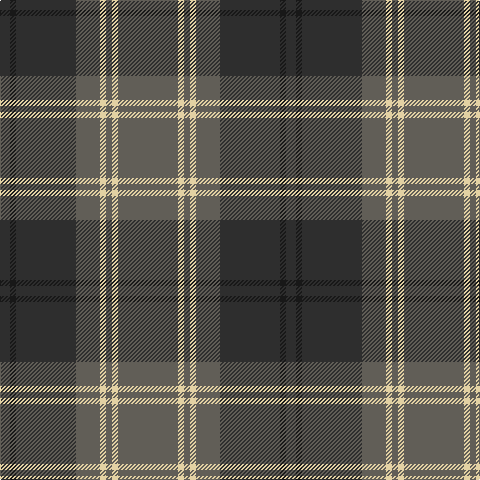 DN/10 K6 DN60 N24 LR6 N6 LR6 N/60 tartan Tartan detail