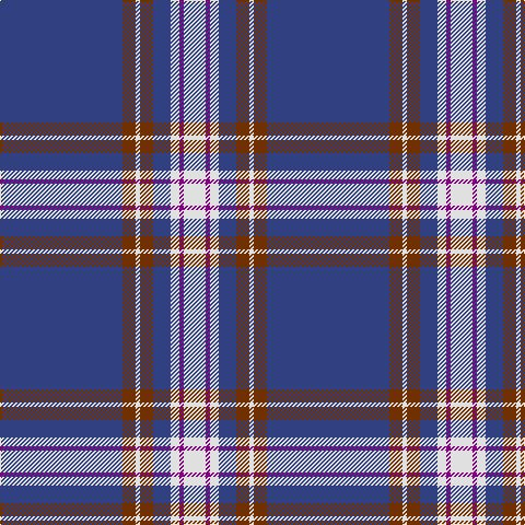 B/112 T12 LN4 T12 B16 LN8 P4 LN/20 tartan Tartan detail