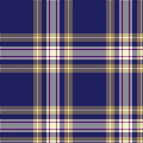 DB/112 LT12 LY4 LT12 DB16 LY8 P4 LY/20 tartan Tartan detail