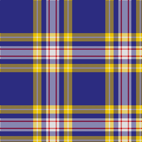 DB/112 Y12 LN4 Y12 DB16 LN8 R4 LN/20 tartan Tartan detail
