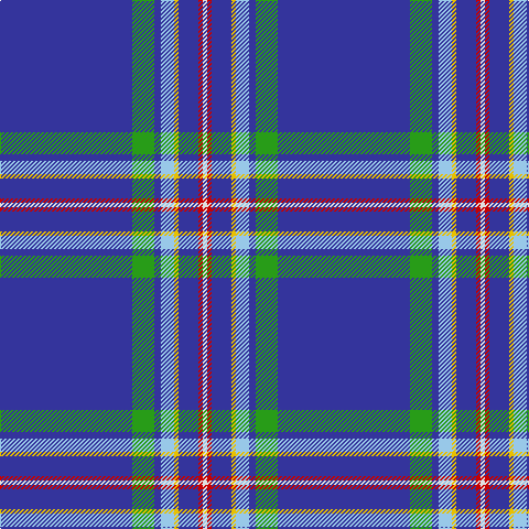 B/120 G20 B6 LB12 Y4 B18 R4 LN/4 tartan Tartan detail