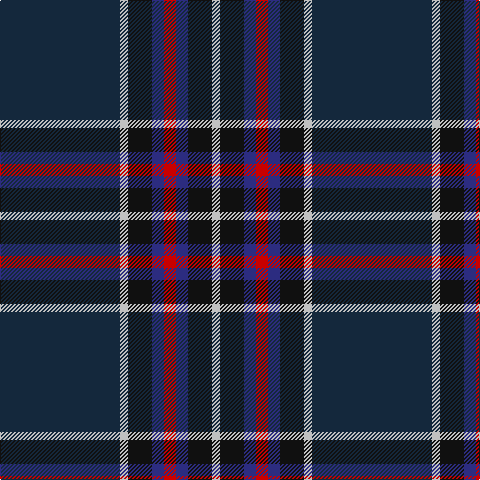 DN/120 N8 K24 DB12 R12 DB12 K24 N/8 tartan Tartan detail