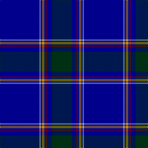 DB/128 N4 DB4 DY8 DB4 DR4 DB16 DG/64 tartan Tartan detail