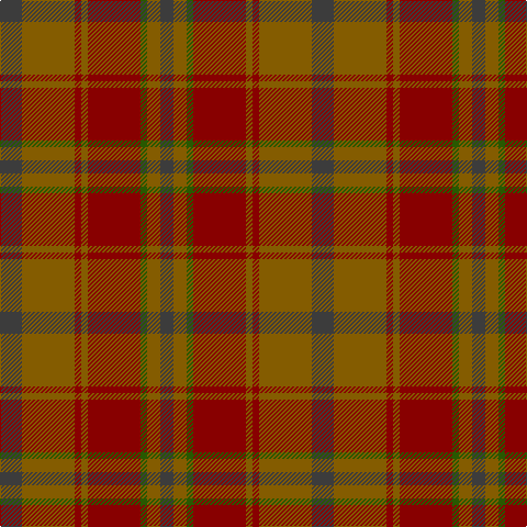 N/20 T48 DR6 T6 DR48 G6 T12 N/12 tartan Tartan detail