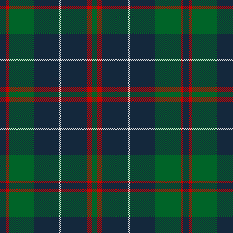 DN/12 R6 G52 DN52 LN4 DN54 R10 G/10 tartan Tartan detail