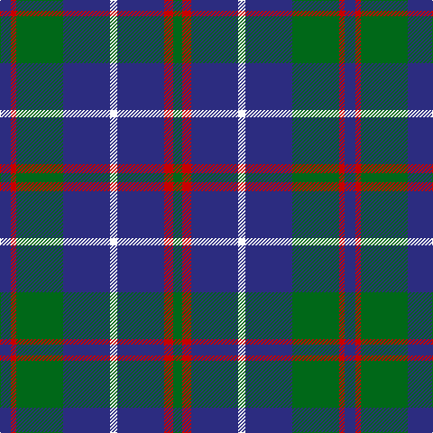 DB/12 R6 G52 DB52 W8 DB52 R10 G/10 tartan Tartan detail
