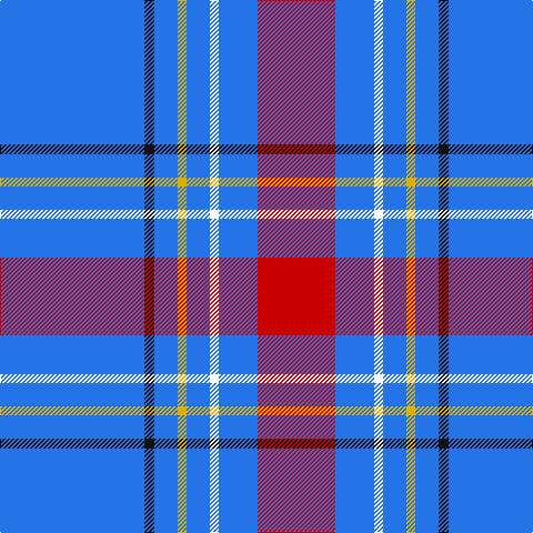 B/130 K9 B21 Y8 B21 W8 B35 R/70 tartan Tartan detail