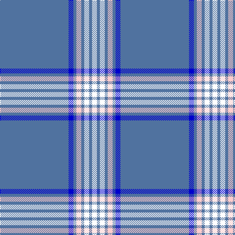 B/140 Ba10 B6 W10 B6 Wa10 B6 R/10 tartan Tartan detail