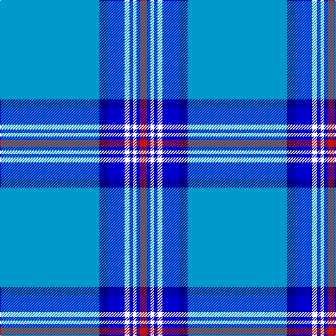 B/142 DB12 Ba24 W7 Ba5 W5 Ba5 R/10 tartan Tartan detail