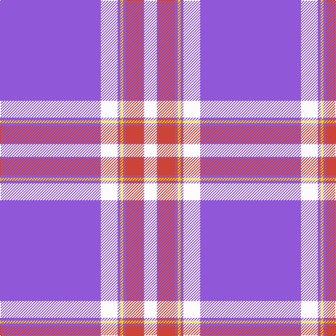 P/144 W24 P4 Y4 P4 R24 P2 W/18 tartan Tartan detail