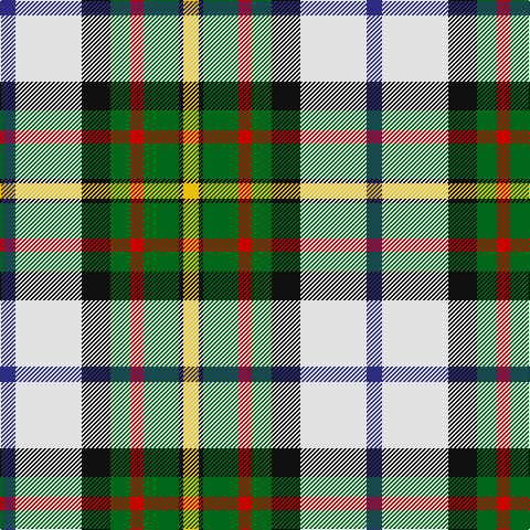 DB/14 LN60 K26 G18 R12 G32 K4 Y/14 tartan Tartan detail