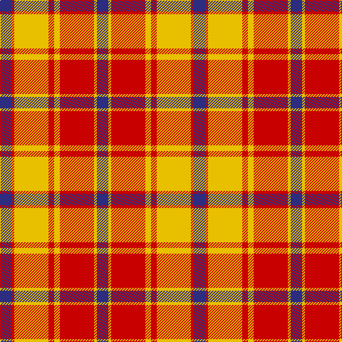 DB/16 R4 Y48 R8 Y8 R48 Y4 DB/16 tartan Tartan detail