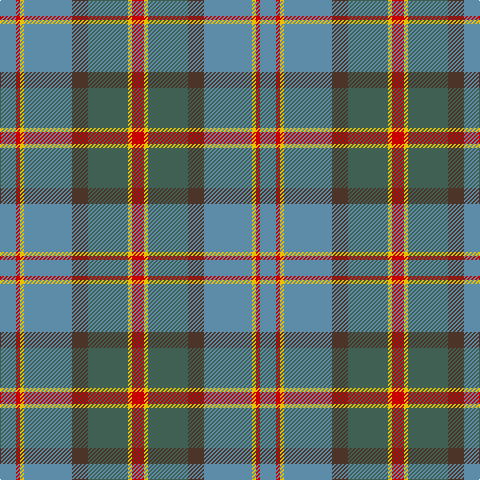 Ba/16 R4 Y4 Ba48 T16 N40 Y4 R/12 tartan Tartan detail
